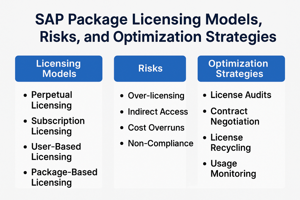 SAP Package Licensing Models, Risks, and Optimization Strategies